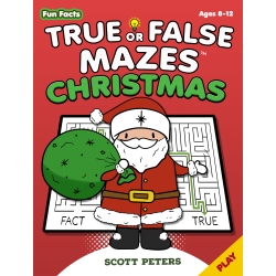 True Or False Mazes: Christmas